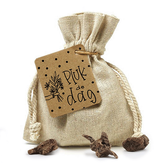 Bloembollen in linnenzakje