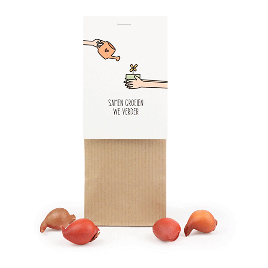 Bloembollen in stazakje