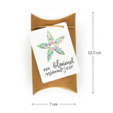 Maatgeving gondeldoosje.