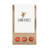 Dankjewel - Bloembollen in buidel // Eef