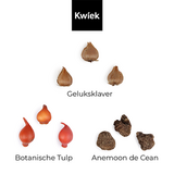 Fijne kerst - Bloembollen in buidel // Mijksje