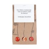 1000 bloemetjes bedankt - Bloembollen in buidel // Mijksje