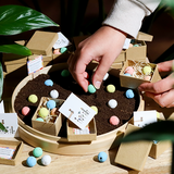 Zaadbommetjes in papier mach&eacute; doosje - Sfeerfoto
