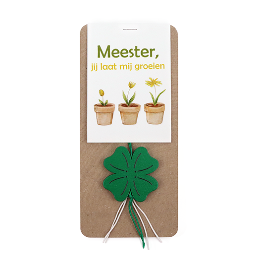 Meester, jij laat mij groeien - Hoofdfoto