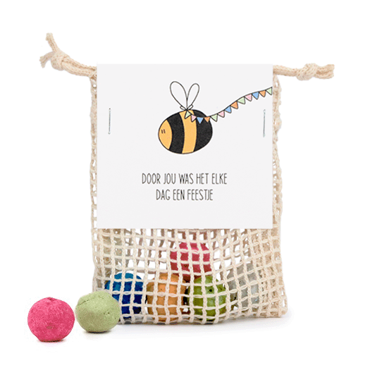 Zaadbommetjes in netzakje - Door jou was het elke dag een feestje - Hoofdfoto