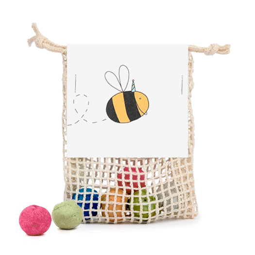 Zaadbommetjes in netzakje - Bij met feesthoed - Hoofdfoto