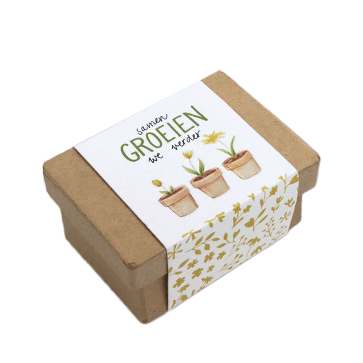 Zaadbommetjes in papier mach&eacute; doosje - Samen groeien we verder - Hoofdfoto