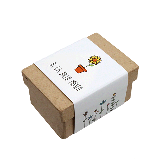 Zaadbommetjes in papier mach&eacute; doosje - Ik ga jullie missen - Hoofdfoto