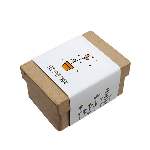 Zaadbommetjes in papier mach&eacute; doosje - Let love grow - Hoofdfoto