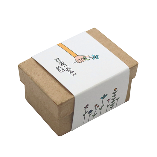 Zaadbommetjes in papier mach&eacute; doosje - Bedankt voor je inzet - Hoofdfoto