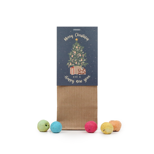 Zaadbommetjes in kraft stazakje - Merry Christmas and a happy new year - Hoofdfoto