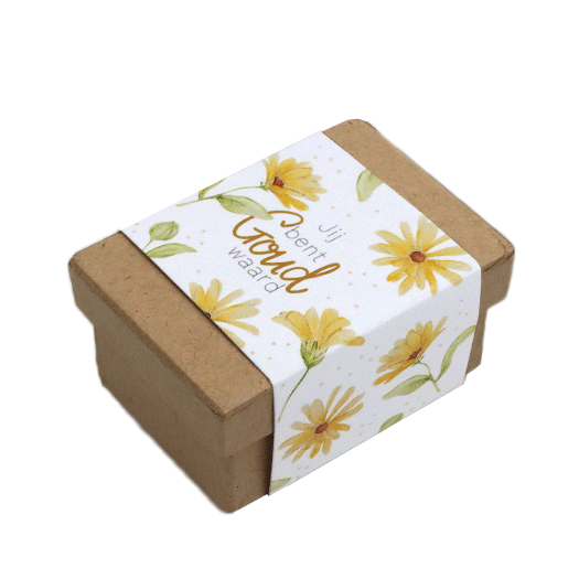 Zaadbommetjes in papier mach&eacute; doosje - Jij bent goud waard - Hoofdfoto