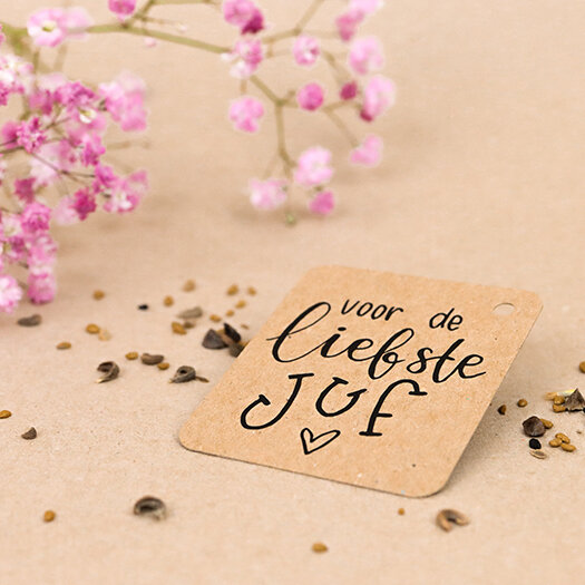 Sfeerfoto kraftlabel 50 x 60 mm met boorgt met de tekst &#039;Voor de liefste juf&#039;