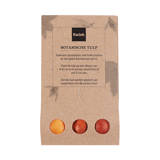 Collega bedankt - Bloembollen in buidel // Eef