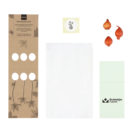 Jij bent goud waard - Bloembollen in buidel // Eef