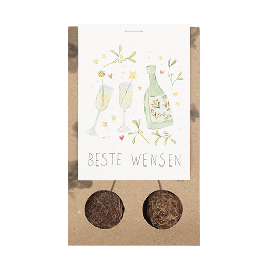 Beste wensen - Bloembollen in buidel // Mijksje