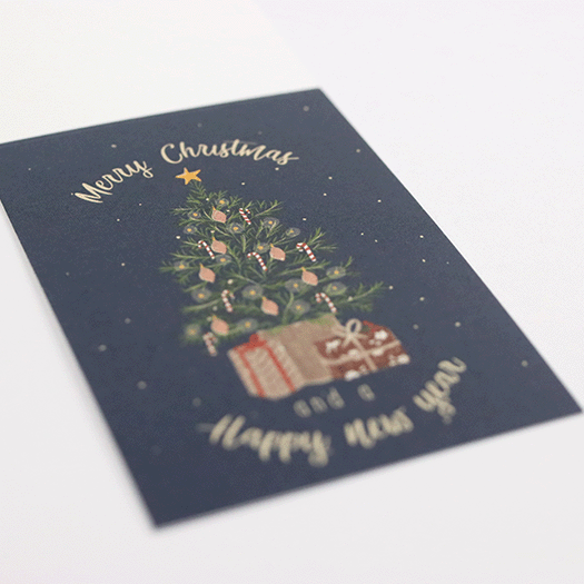 Merry Christmas and a happy new year - Bloembollen in buidel // Mijksje