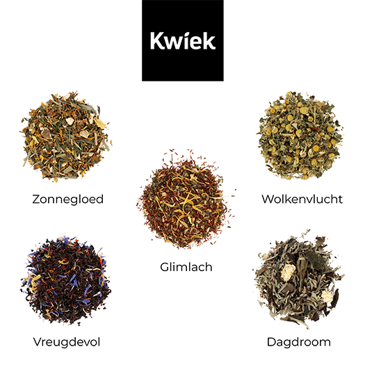 Vrolijke meester thee - Thee in buidel // Eef