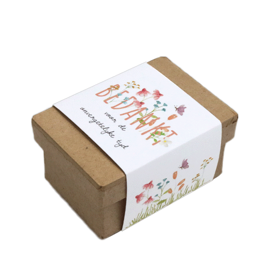 Zaadbommetjes in papier mach&eacute; doosje - Bedankt voor de onvergetelijke tijd - Hoofdfoto