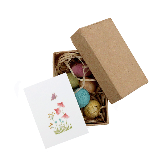 Zaadbommetjes in papier mach&eacute; doosje - Bovenaanzicht 