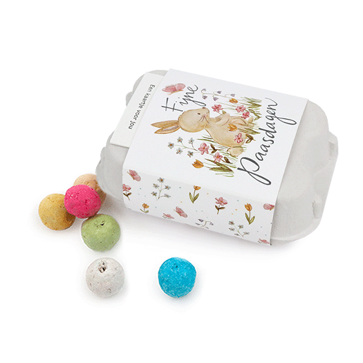 Zaadbommetjes in eierdoosje - Fijne paasdagen - Hoofdfoto