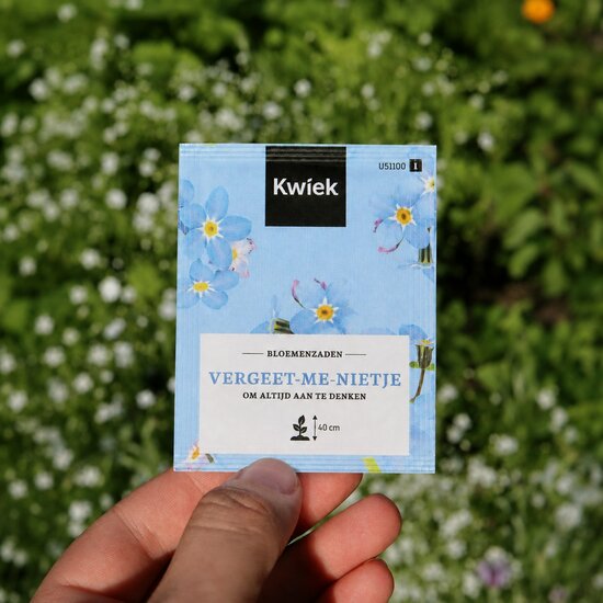 Kwiek vergeet-me-niet foto in veld